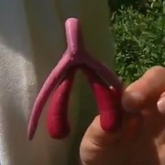 L'histoire du clitoris